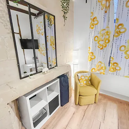 Le Cocon, Cour Privee, Wifi, Halles, Hopital * Tours