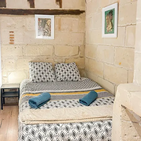 Le Cocon, Cour Privee, Wifi, Halles, Hopital * Tours